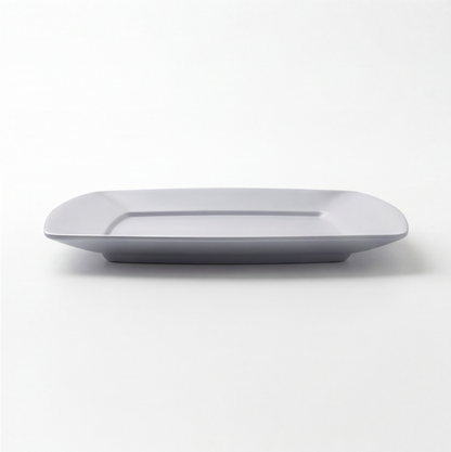 Pure PP Plates (24×24 cm) Set of 10