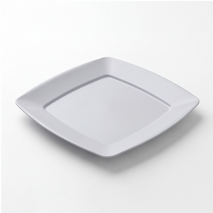 Pure PP Plates (24×24 cm) Set of 10