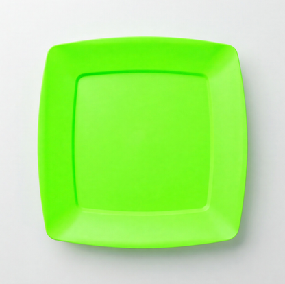 Pure PP Plates (24×24 cm) Set of 10