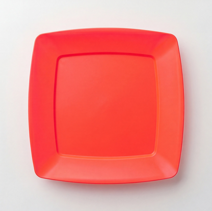 Pure PP Plates (24×24 cm) Set of 10