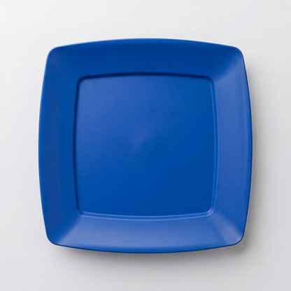 Pure PP Plates (24×24 cm) Set of 10